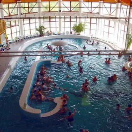 Cedar 3 ザラカロシュ