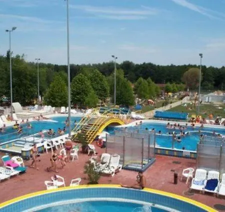 Cedar 3 ザラカロシュ