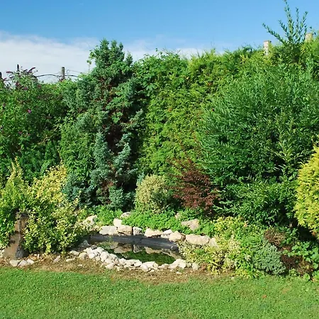 アパート Cedar 3 *