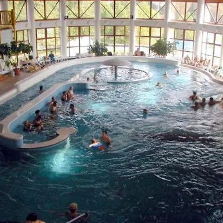 Cedar 3 * ザラカロシュ