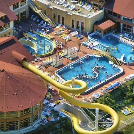 Cedar 3 * ザラカロシュ